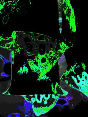 Abstract Neon Foxgloves